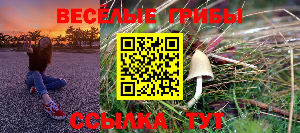 Галлюциногенные грибы Psilocybine cubensis  Вход с VPN  Реутов 